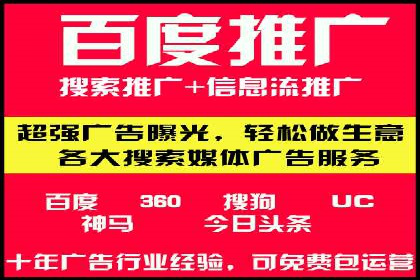 行业领先企业的SEM广告策略与效果分析