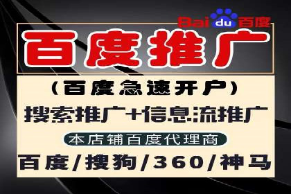 顶尖SEM竞价代运营公司案例分析